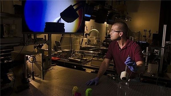 研究人员放大3D狗鼻子实验 研究人员放大3D狗鼻子实验